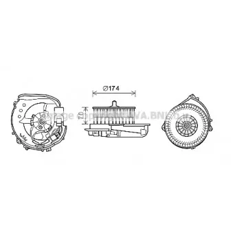 Moteur électrique, pulseur d'air habitacle AVA QUALITY COOLING MS8622