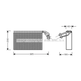 Evaporateur climatisation AVA QUALITY COOLING MSV317