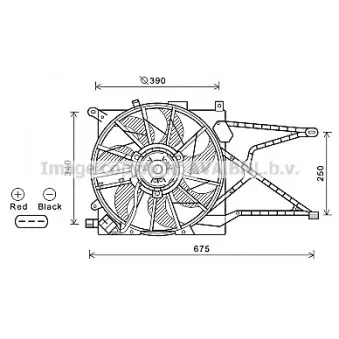 Ventilateur, refroidissement du moteur AVA QUALITY COOLING OL7597