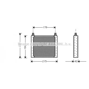 Radiateur d'huile AVA QUALITY COOLING RT3146