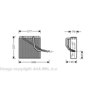 Evaporateur climatisation AVA QUALITY COOLING VWV055