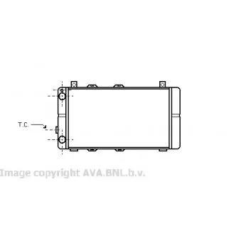 Radiateur, refroidissement du moteur AVA QUALITY COOLING WG2003