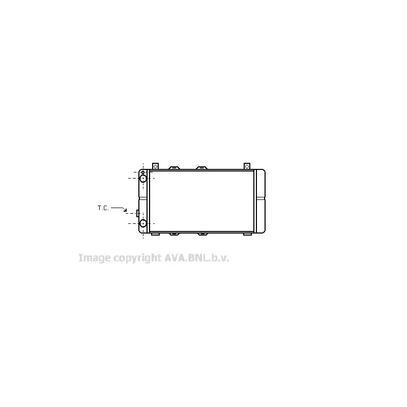 Radiateur, refroidissement du moteur AVA QUALITY COOLING WG2003