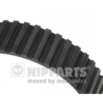 Courroie crantée NIPPARTS J1123008