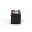 Batterie de démarrage BOSCH 0 092 T30 080 - Visuel 2