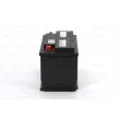 Batterie de démarrage BOSCH 0 092 T30 320 - Visuel 2