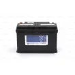 Batterie de démarrage BOSCH 0 092 T30 320 - Visuel 3