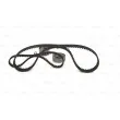 Kit de distribution BOSCH 1 987 946 319 - Visuel 3