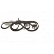 Kit de distribution BOSCH 1 987 946 518 - Visuel 3