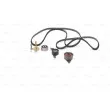 Kit de distribution BOSCH 1 987 948 051 - Visuel 1