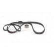 Kit de distribution BOSCH 1 987 948 543 - Visuel 3