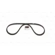 Kit de distribution BOSCH 1 987 948 932 - Visuel 3