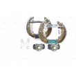 Kit de freins arrière prémontés KIT SUPERPRO BOSCH 0 204 114 512 - Visuel 1