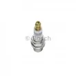 Bougie d'allumage BOSCH 0 242 229 648 - Visuel 3