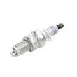 Bougie d'allumage BOSCH 0 242 255 509 - Visuel 1