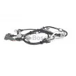 Capteur, vitesse de roue BOSCH 0 265 006 256 - Visuel 2