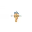 Sonde de température, liquide de refroidissement BOSCH 0 280 130 026 - Visuel 2