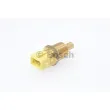Sonde de température, liquide de refroidissement BOSCH 0 280 130 049 - Visuel 1