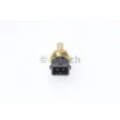 Sonde de température, liquide de refroidissement BOSCH 0 280 130 053 - Visuel 2