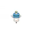 Régulateur de pression du carburant BOSCH 0 280 160 587 - Visuel 1