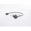 Capteur d'angle, vilebrequin BOSCH 0 281 002 102 - Visuel 1