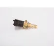 Sonde de température, liquide de refroidissement BOSCH 0 281 002 209 - Visuel 3