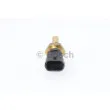 Sonde de température, liquide de refroidissement BOSCH 0 281 002 259 - Visuel 2