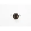 Capteur, pression de carburant BOSCH 0 281 002 909 - Visuel 2