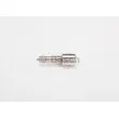 Buse/Gicleur/Injecteur BOSCH 0 433 171 870 - Visuel 1