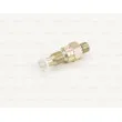 Injecteur BOSCH 0 437 004 002 - Visuel 1