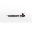 Injecteur BOSCH 0 445 116 034 - Visuel 1