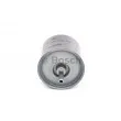 Filtre à carburant BOSCH 0 450 905 324 - Visuel 1
