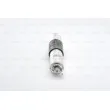 Filtre à carburant BOSCH 0 450 905 952 - Visuel 1