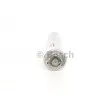 Filtre à carburant BOSCH 0 450 905 960 - Visuel 1