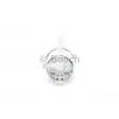 Pompe à carburant BOSCH 0 986 580 129 - Visuel 2