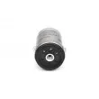 Filtre à carburant BOSCH 1 457 434 296 - Visuel 1