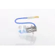 Ampoule, projecteur longue portée BOSCH 1 987 302 035 - Visuel 1