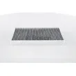 Filtre, air de l'habitacle BOSCH 1 987 431 459 - Visuel 3