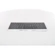 Filtre, air de l'habitacle BOSCH 1 987 432 330 - Visuel 1
