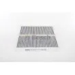 Filtre, air de l'habitacle BOSCH 1 987 432 500 - Visuel 3