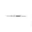 Flexible de frein BOSCH 1 987 481 796 - Visuel 3