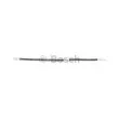 Flexible de frein BOSCH 1 987 481 812 - Visuel 3