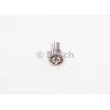 Buse d'injecteur BOSCH 9 432 610 295 - Visuel 2