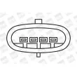 Bobine d'allumage BERU ZS371 - Visuel 2
