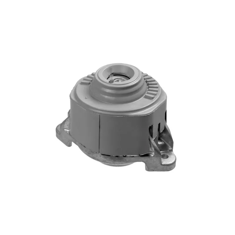 Support moteur LEMFORDER 35518 01