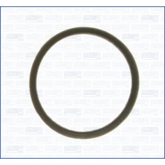 Joint d'étanchéité, thermostat AJUSA 00843000