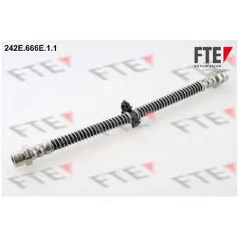 Flexible de frein FTE