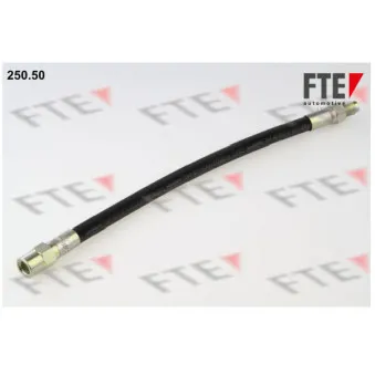 Flexible de frein FTE 250.50
