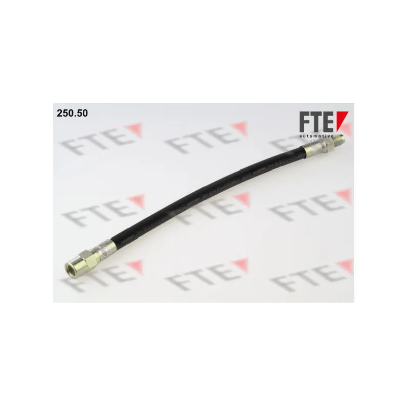 Flexible de frein FTE 250.50