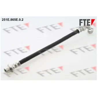 Flexible de frein FTE
